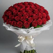 Букет 101 Красная роза Блэк Мэджик #REPLACE_PRED# Волгодонске