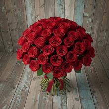 Букет 55 Красных роз Фридом #REPLACE_PRED# Волгодонске