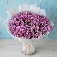 Букет цветов из:  Хризантемы в Волгодонске