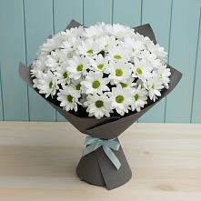 Букет цветов из:  Хризантемы #REPLACE_PRED# Волгодонске