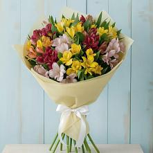 Букет цветов из:  Альстромерии в Волгодонске