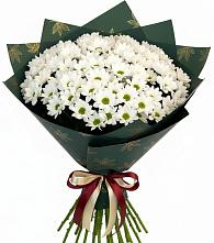 Букет цветов из:  Хризантемы #REPLACE_PRED# Волгодонске