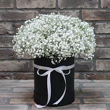 Цветочная композиция из Гипсофила в шляпной коробке в Волгодонске