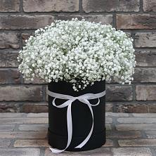 Цветочная композиция из Гипсофила в шляпной коробке в Волгодонске