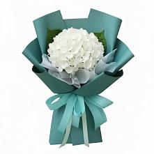 Букет цветов из:  Гортензия в Волгодонске